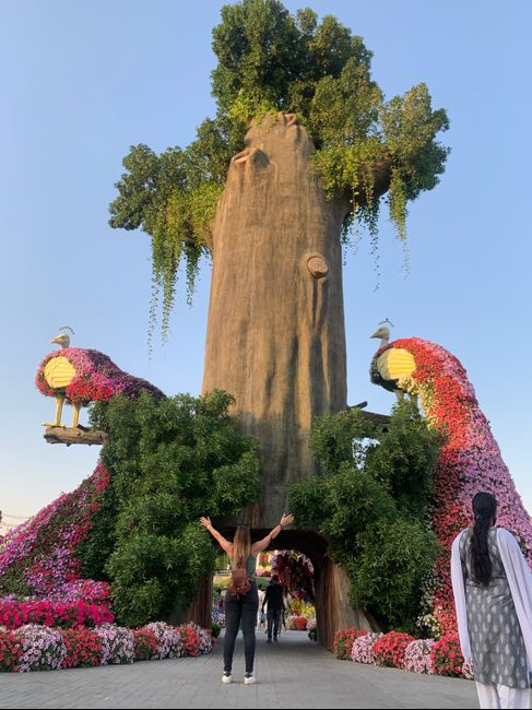 Il nostro Viaggio di Nozze Maldive / Dubai 31
