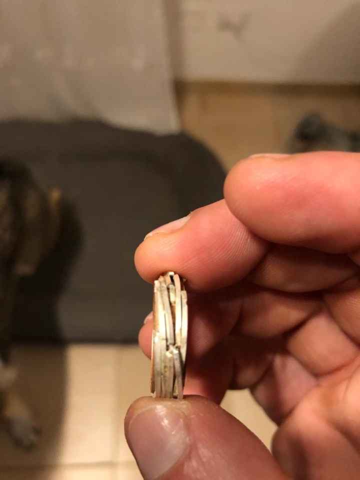 Foto delle vostre fedi - 1