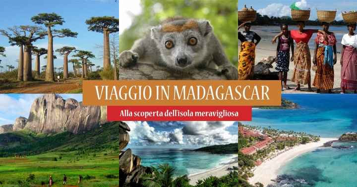 indecisione totaleeee viaggio di nozzeeee - 1