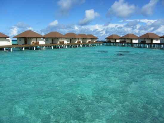 indecisione totaleeee viaggio di nozzeeee - 5