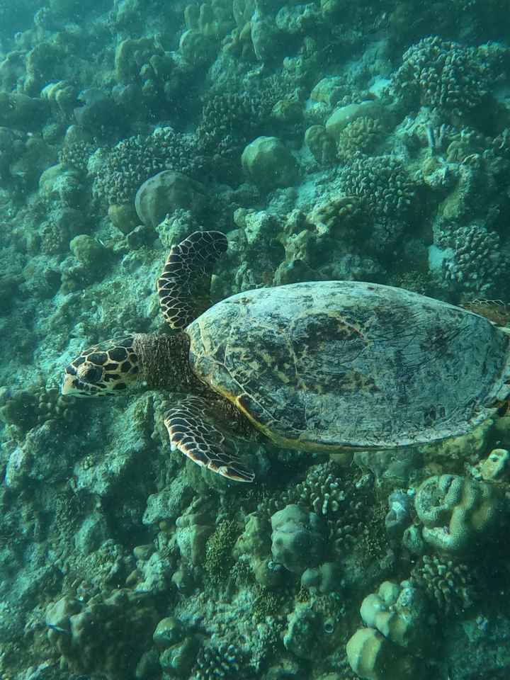 Il nostro Viaggio di Nozze Maldive / Dubai - 7