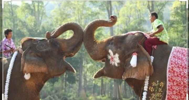 Luna di miele prenotata 😊😍 - 8