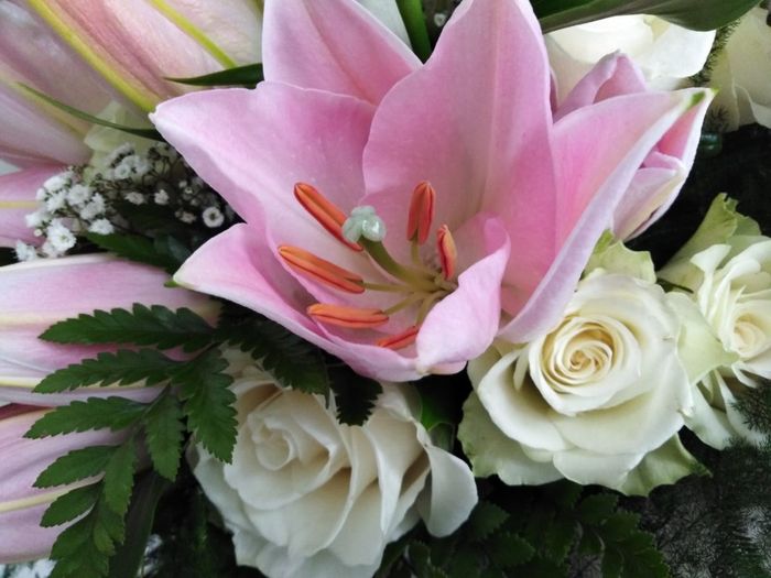 Primo anniversario! - 2