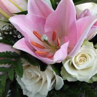 Primo anniversario! - 2
