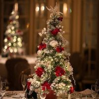 Matrimonio a dicembre - 1
