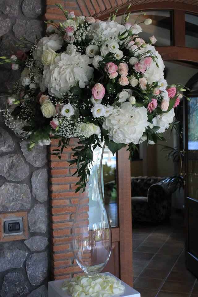 Ortensie o calle? - 1