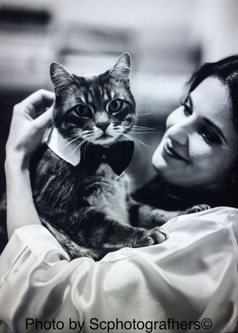 I gatti, i preparativi e il matrimonio: fateci vedere le loro foto! 📸 - 1