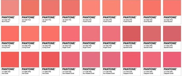 Alla ricerca del colore perduto! - 1