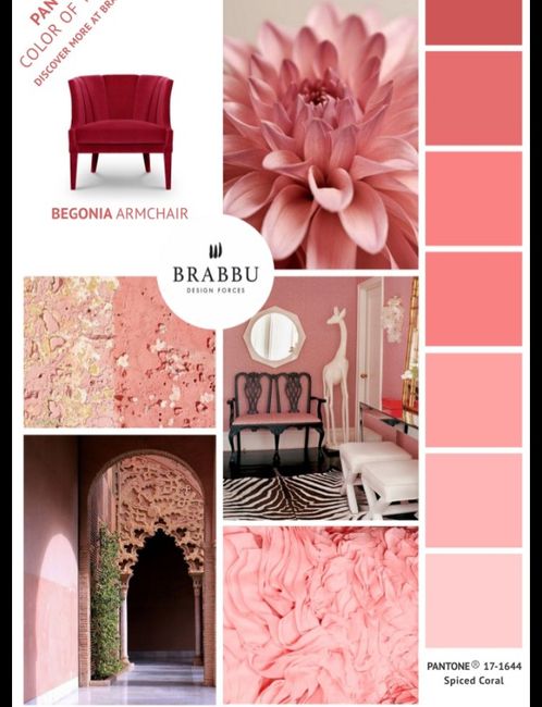 Alla ricerca del colore perduto! - 2