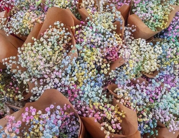 Consigli bouquet xd - 7