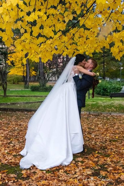 Scatti belli,  2020 - 2