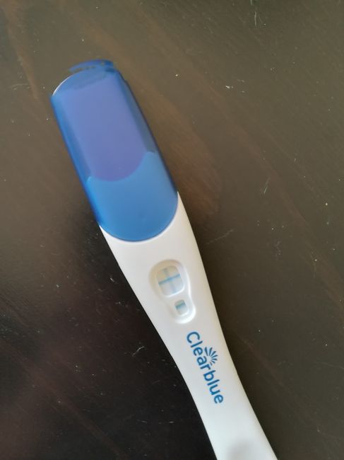 Per chi non le aspetta per febbraio 2020 - 1