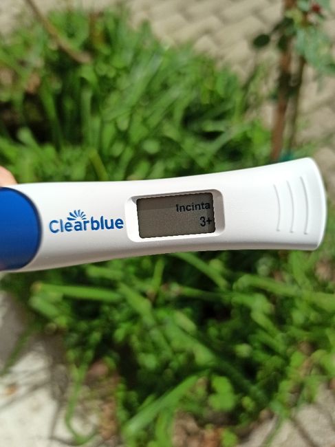 Test settimane clearblu - 1