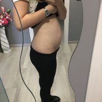 Evoluzione pancine di ottobre 2018 - 1