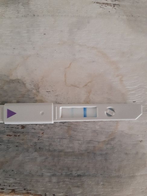 Test ovulazione Clearblue 3
