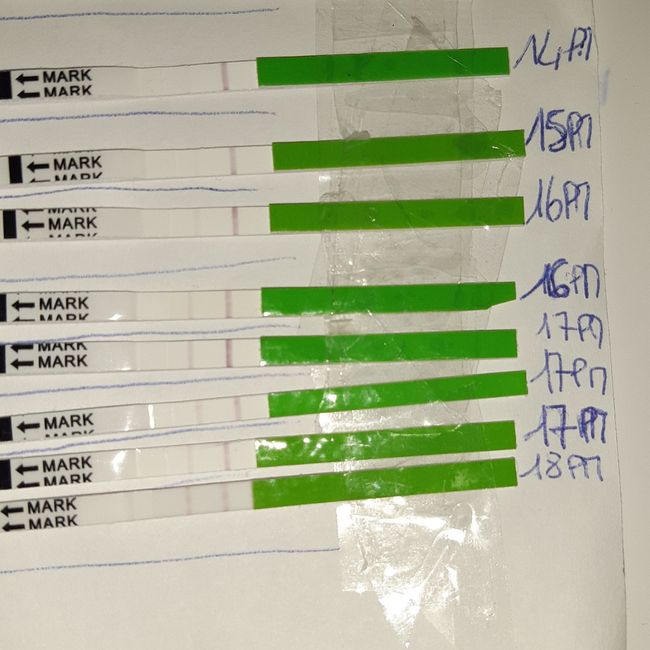 Chi non le aspetta per Dicembre 2020 🍀❣️🎄🎁🎀🌠 - 1