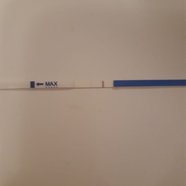 Chi non le aspetta per Dicembre 2020 🍀❣️🎄🎁🎀🌠 - 1