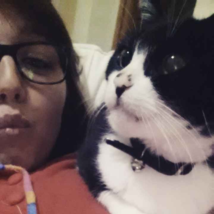 Le foto dei vostri animali - 1