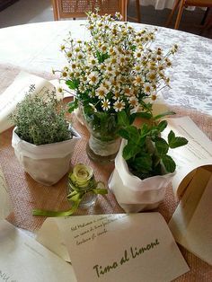 idee tema erbe Aromatiche/ fiori spontanei 3