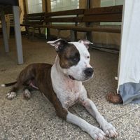 Lei è Camilla la mia testona rompiballe!!!