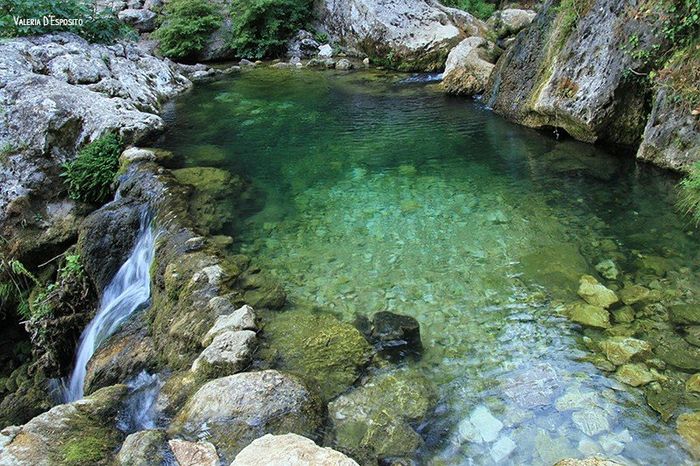 fontegreca