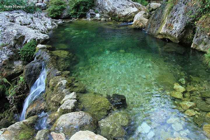 fontegreca