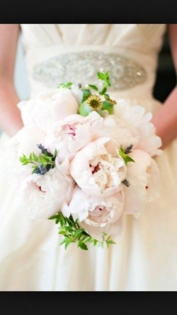 Sondaggino: che fiore nel bouquet?  - 1