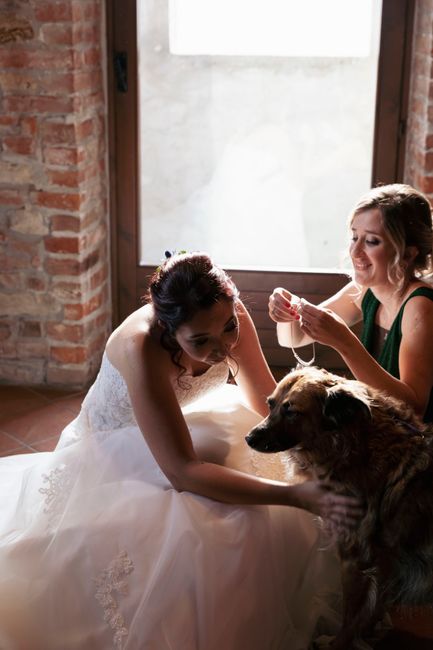 La vostra foto preferita 2