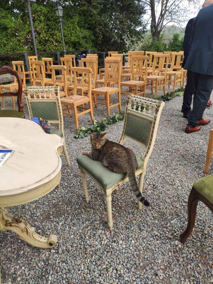 8.10.22 { Dettagli di un matrimonio potteriano} - 7