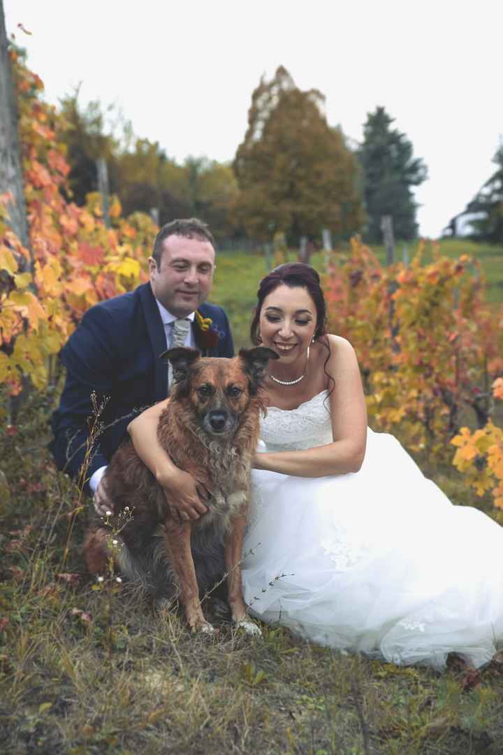 Dettagli di un matrimonio potteriano - 23