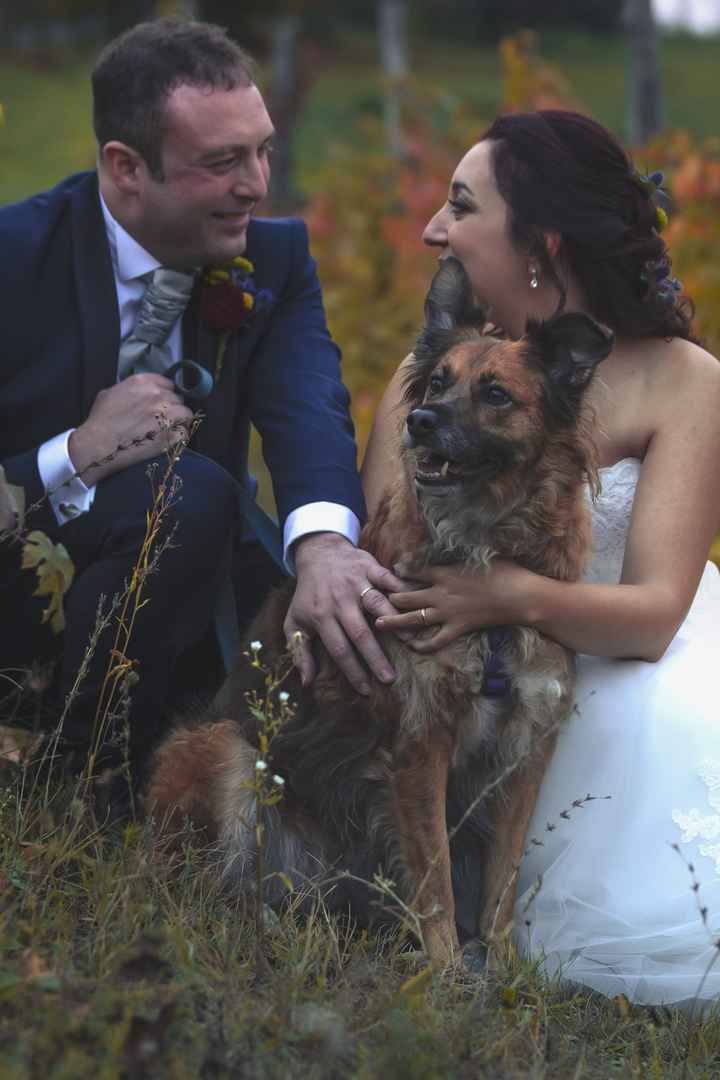 Dettagli di un matrimonio potteriano - 25