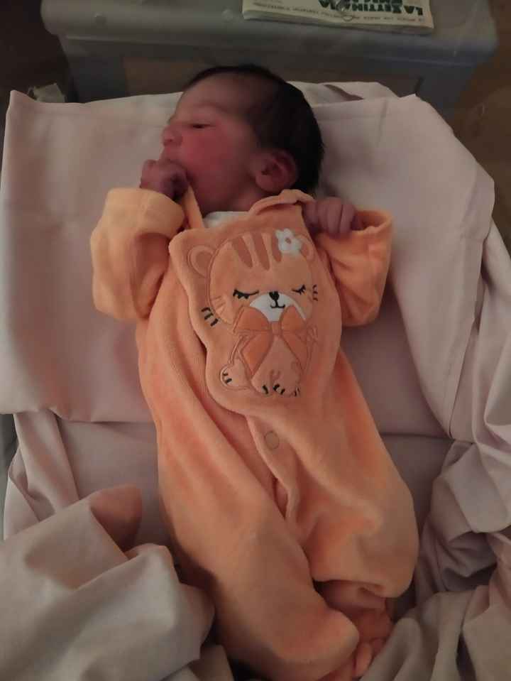 Future mamma novembre 2022 🍇🍁🧸 - 1