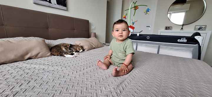 Future mamma novembre 2022 🍇🍁🧸 - 1