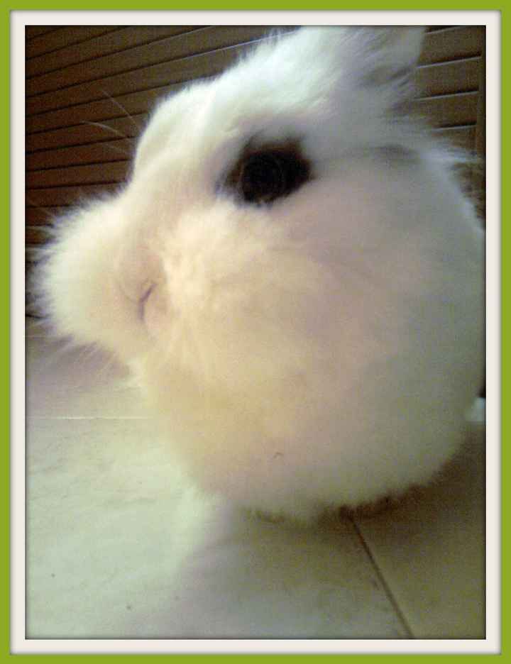 twinky!