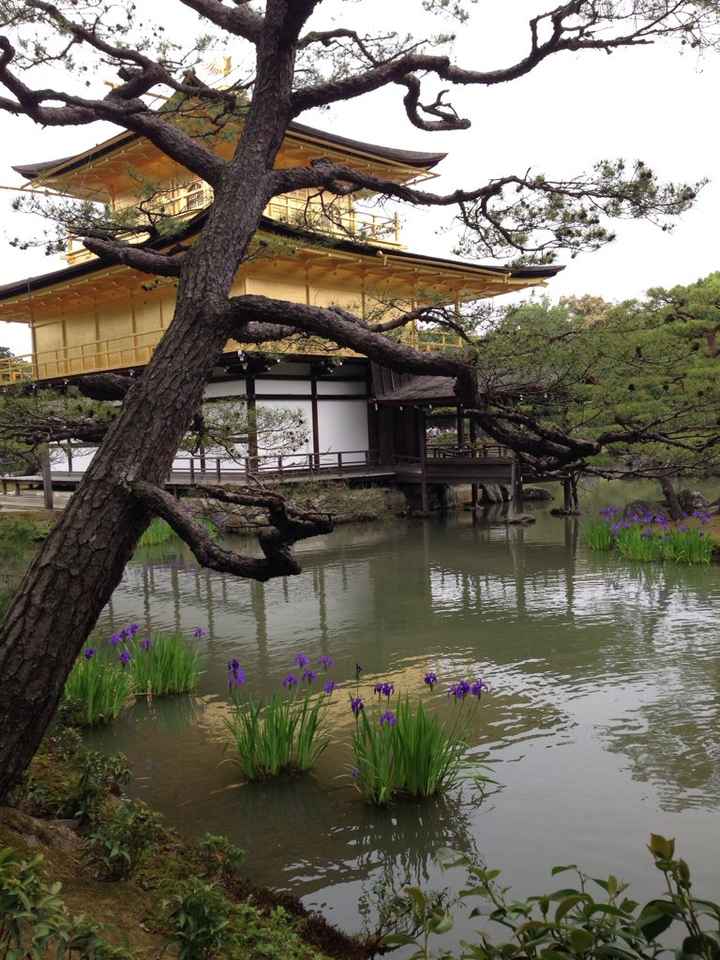 🇯🇵 giappone 🇯🇵 - 2