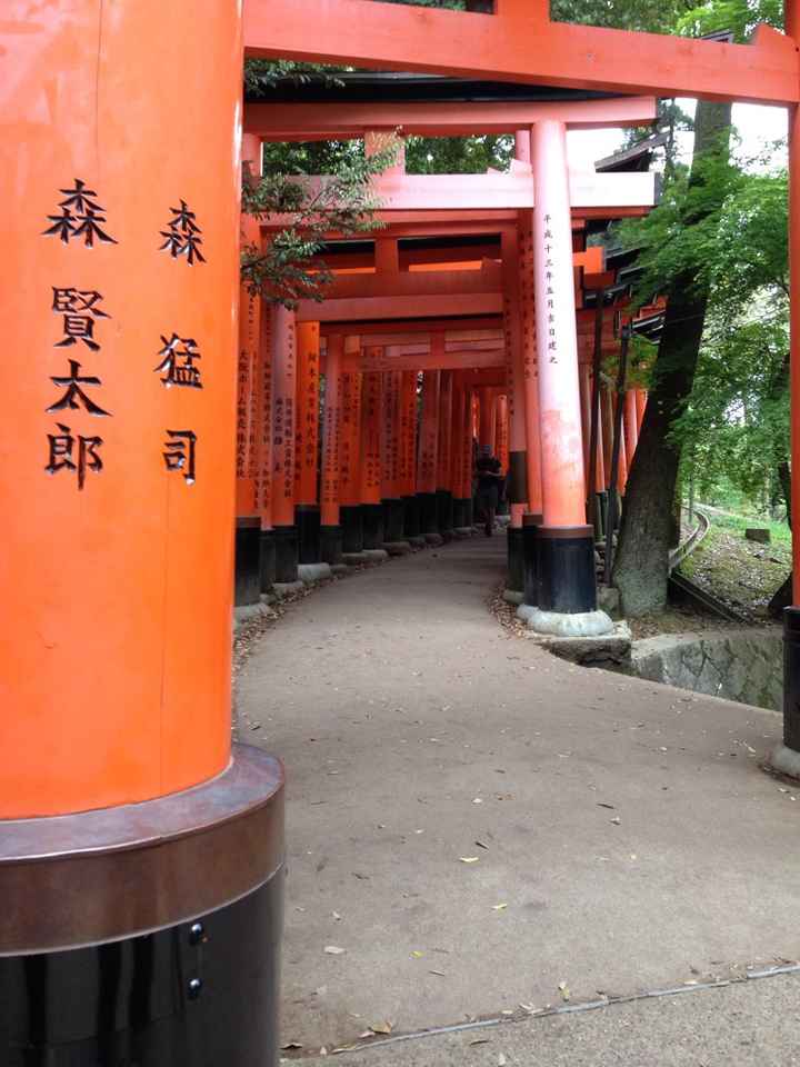 🇯🇵 giappone 🇯🇵 - 3