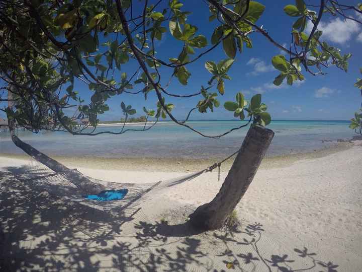 Polinesia qualcuno mi dia qualche dritta..!! - 2