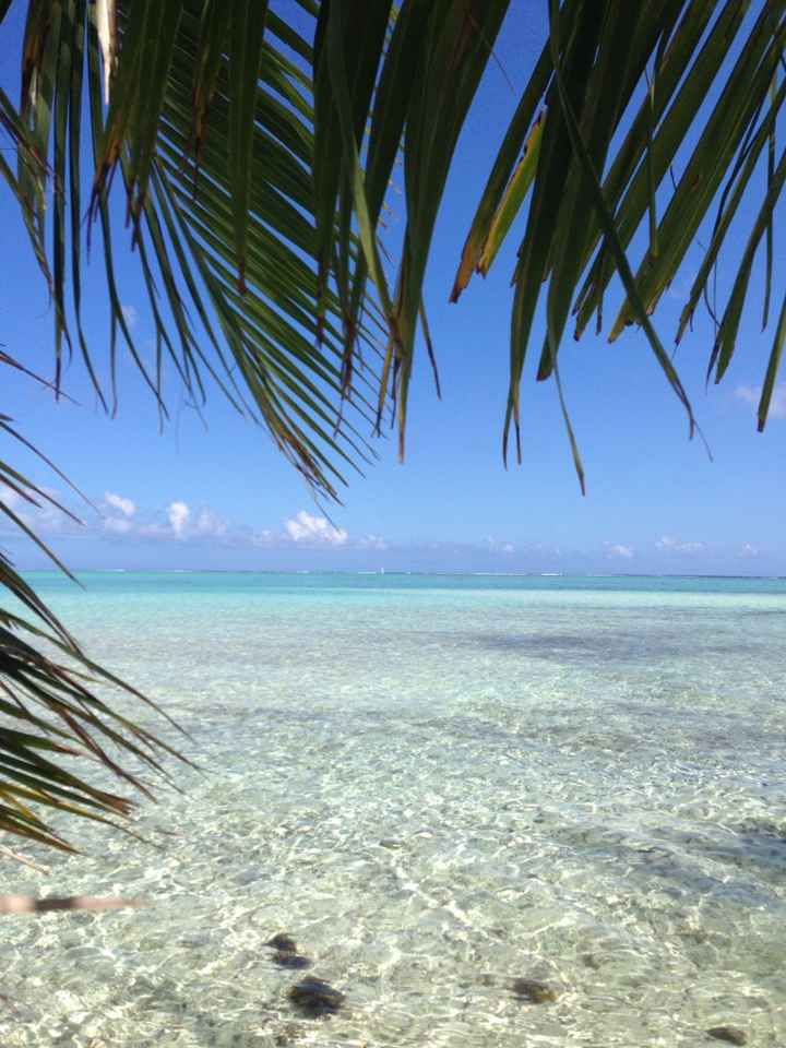 Polinesia qualcuno mi dia qualche dritta..!! - 2