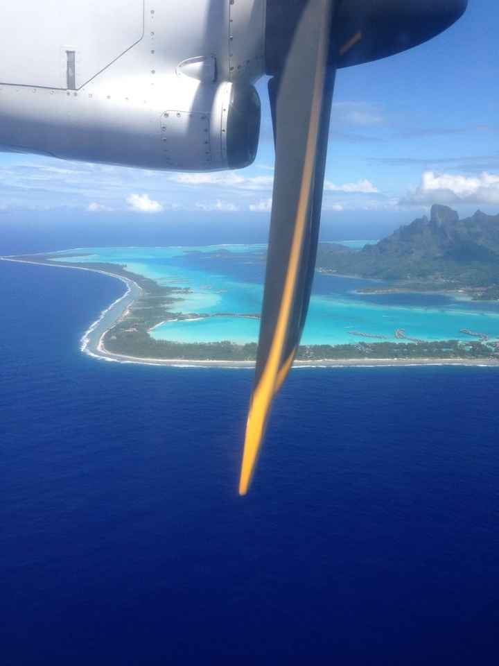 Polinesia qualcuno mi dia qualche dritta..!! - 4