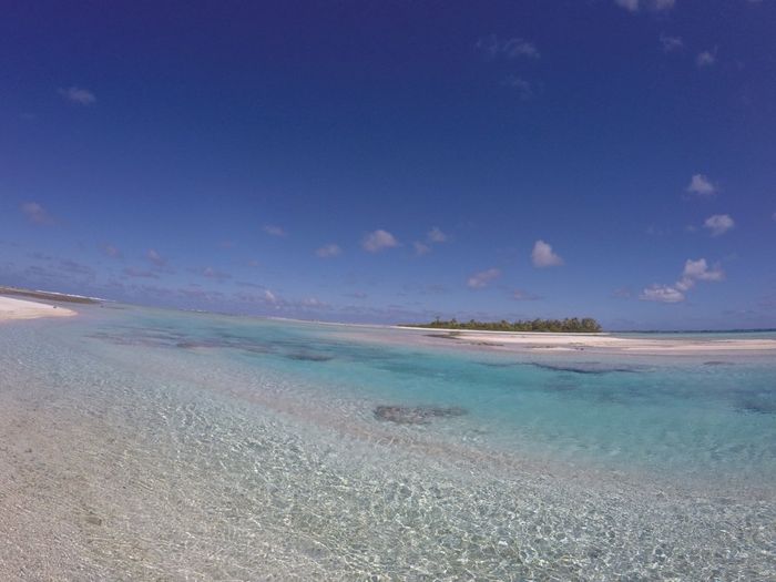 Polinesia qualcuno mi dia qualche dritta..!! - 1