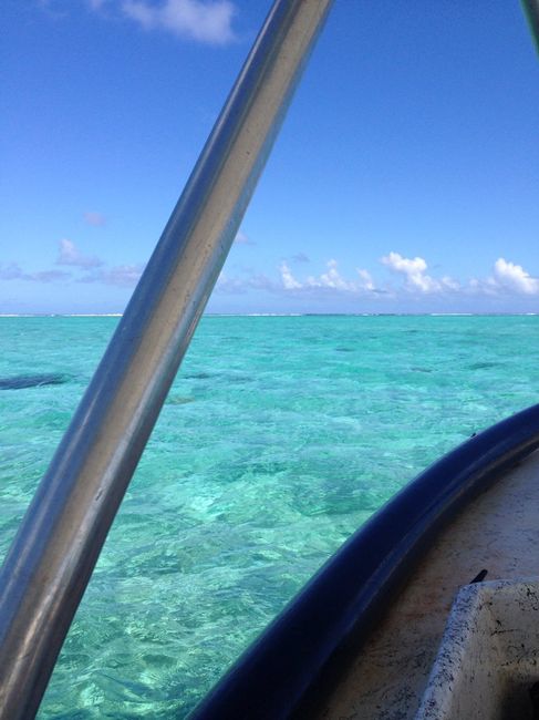 Polinesia qualcuno mi dia qualche dritta..!! - 3