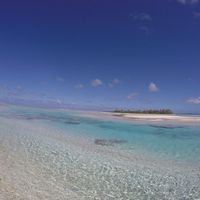 Polinesia qualcuno mi dia qualche dritta..!! - 1