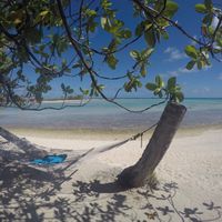 Polinesia qualcuno mi dia qualche dritta..!! - 2