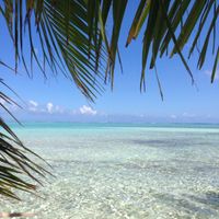 Polinesia qualcuno mi dia qualche dritta..!! - 2