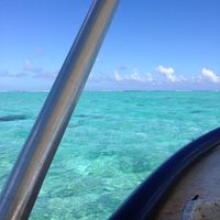 Polinesia qualcuno mi dia qualche dritta..!! - 3