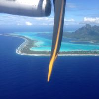 Polinesia qualcuno mi dia qualche dritta..!! - 4