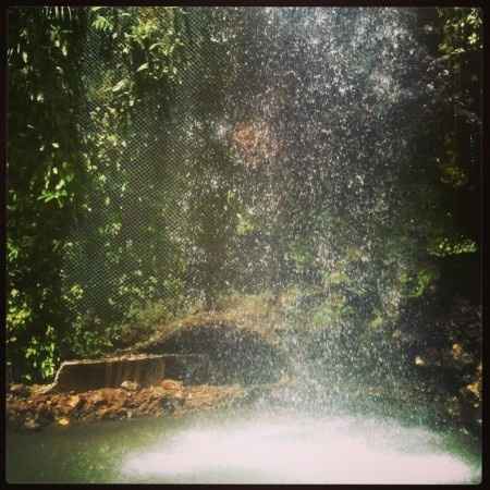 Crociere transatlantiche- caraibi - 1