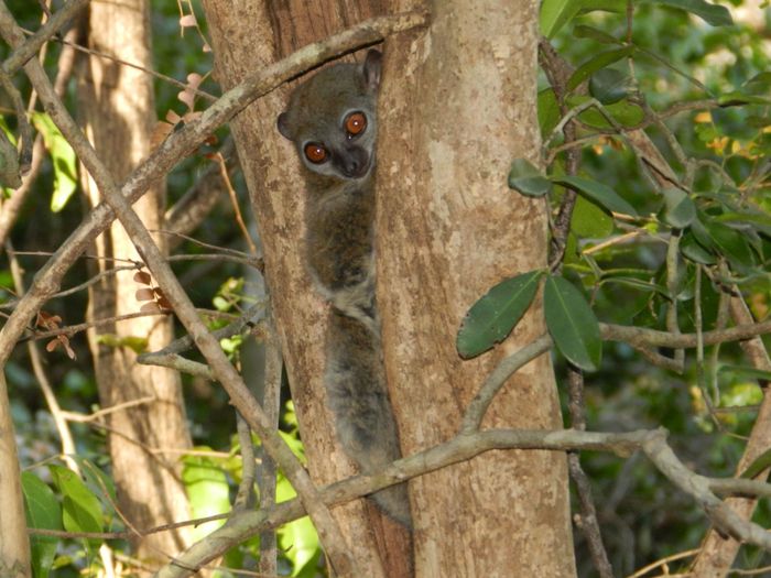 Il nostro indimenticabile viaggio in Madagascar