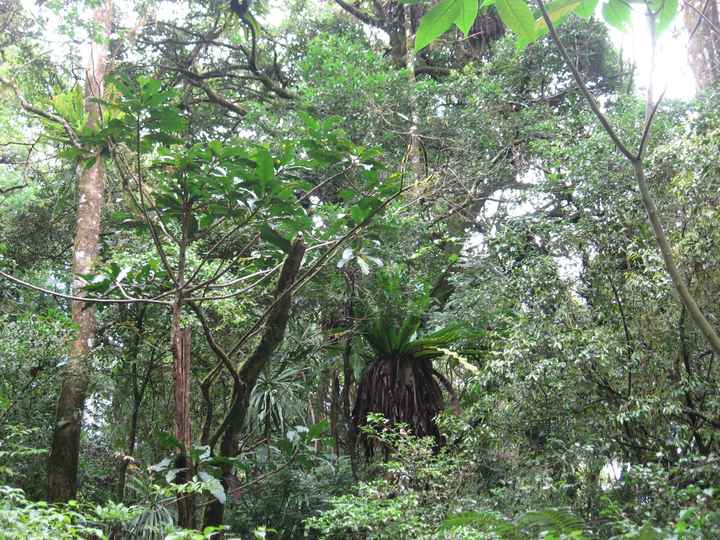 Il nostro indimenticabile viaggio in Madagascar - le foto