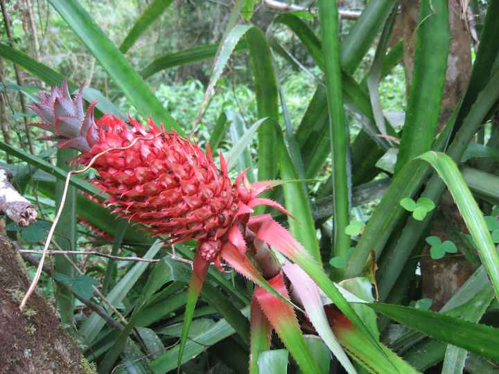 Ill nostro indimenticabile viaggio in Madagascar - le foto